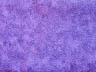 Purple Leaves