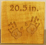 measurement info and hands image